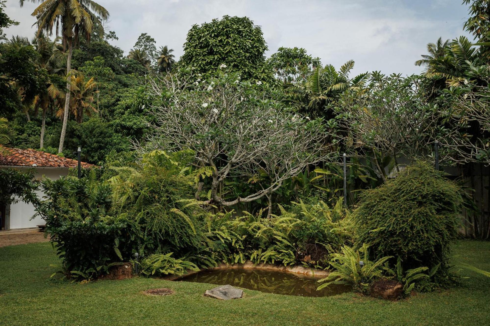 Villa White Queen Galle Buitenkant foto