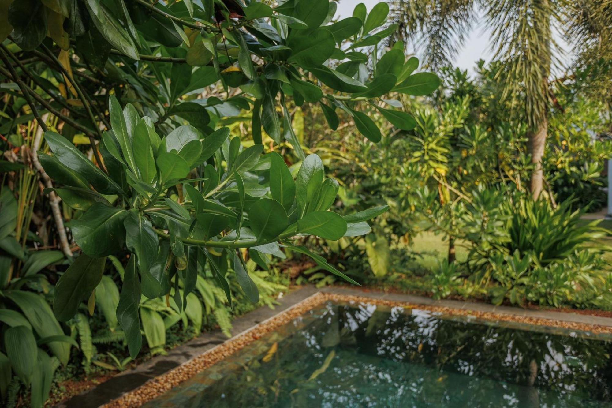 Villa White Queen Galle Buitenkant foto