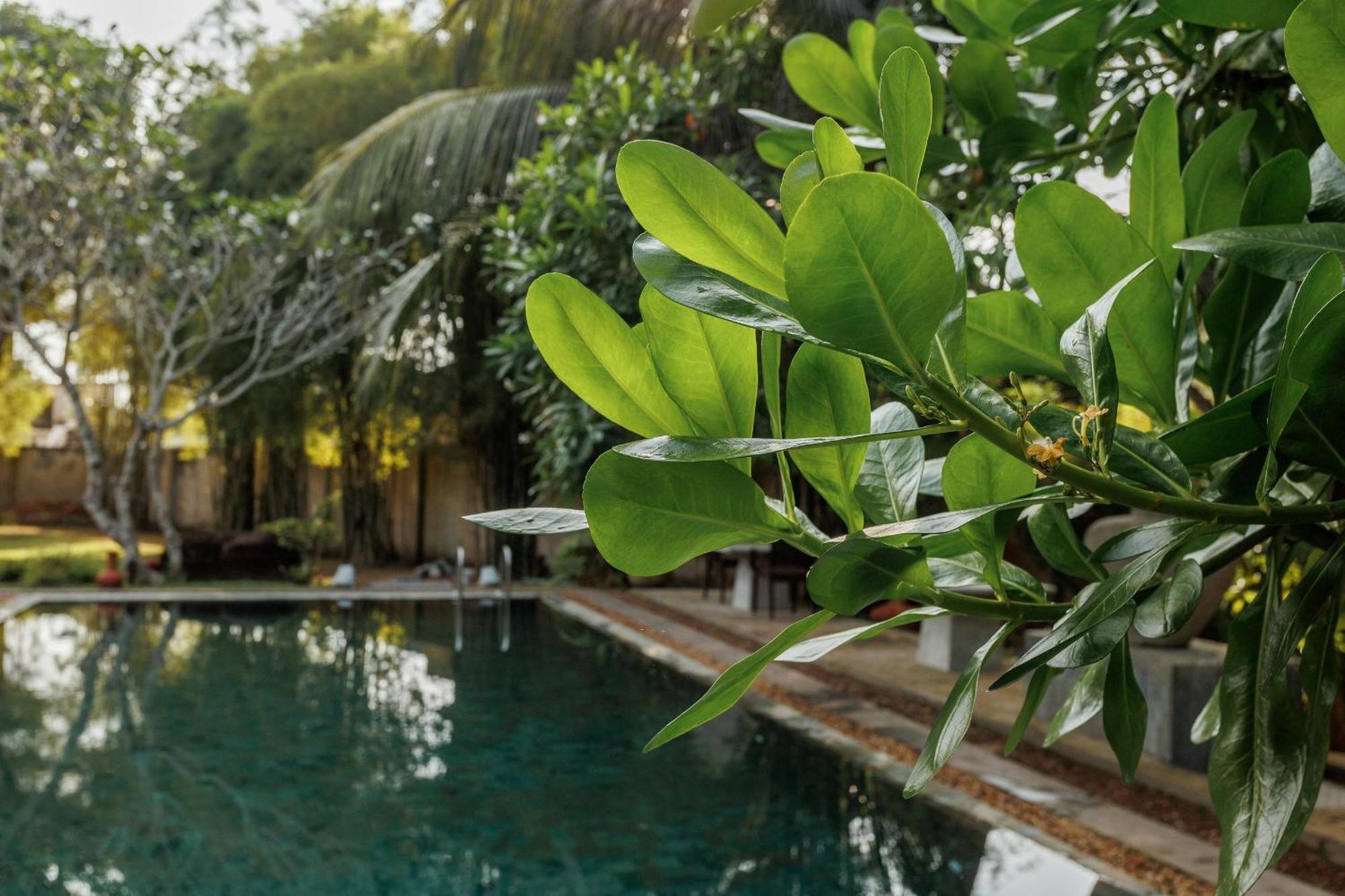 Villa White Queen Galle Buitenkant foto